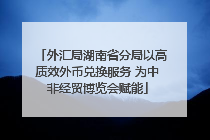 外汇局湖南省分局以高质效外币兑换服务 为中非经贸博览会赋能