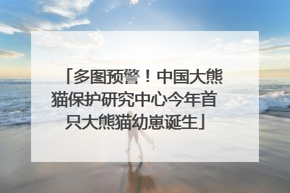 多图预警！中国大熊猫保护研究中心今年首只大熊猫幼崽诞生