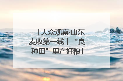 大众观察·山东麦收第一线丨“良种田”里产好粮