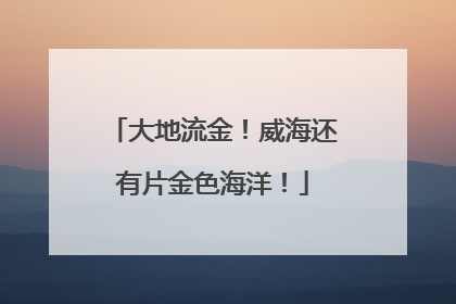 大地流金！威海还有片金色海洋！