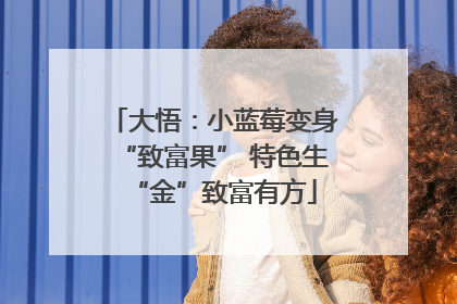 大悟：小蓝莓变身“致富果” 特色生“金”致富有方
