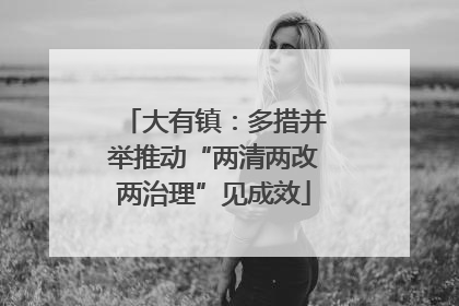大有镇：多措并举推动“两清两改两治理”见成效