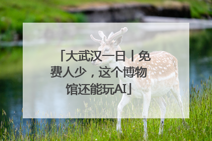 大武汉一日丨免费人少，这个博物馆还能玩AI