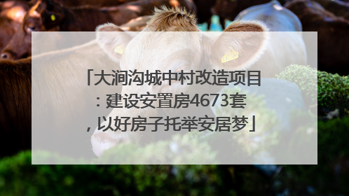 大涧沟城中村改造项目：建设安置房4673套，以好房子托举安居梦