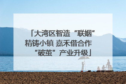 大湾区智造“联姻”精铸小镇 嘉禾借合作“破茧”产业升级