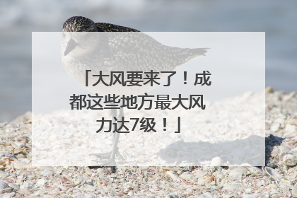 大风要来了！成都这些地方最大风力达7级！