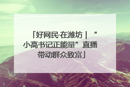 好网民·在潍坊｜“小高书记正能量”直播 带动群众致富