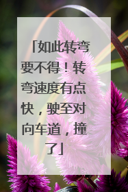 如此转弯要不得！转弯速度有点快，驶至对向车道，撞了