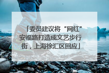 委员建议将“网红”安福路打造成文艺步行街，上海徐汇区回应