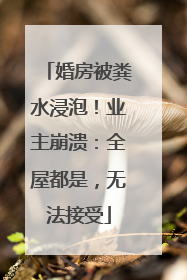 婚房被粪水浸泡！业主崩溃：全屋都是，无法接受