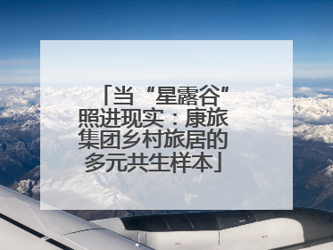 当“星露谷”照进现实：康旅集团乡村旅居的多元共生样本