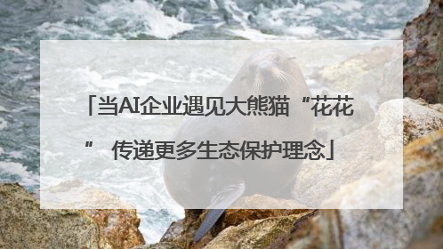 当AI企业遇见大熊猫“花花” 传递更多生态保护理念