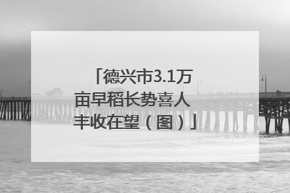 德兴市3.1万亩早稻长势喜人 丰收在望（图）