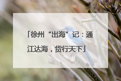 徐州“出海”记：通江达海，货行天下