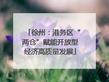 徐州：港务区“两仓”赋能开放型经济高质量发展
