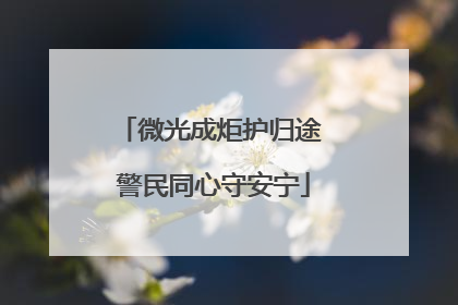 微光成炬护归途 警民同心守安宁