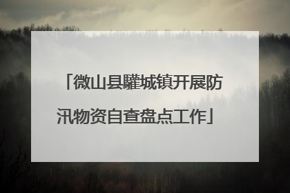 微山县驩城镇开展防汛物资自查盘点工作