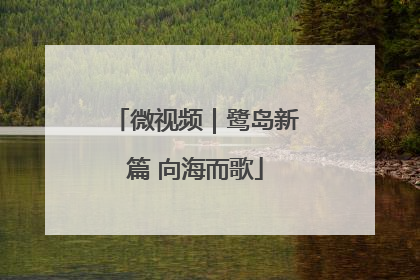 微视频｜鹭岛新篇 向海而歌