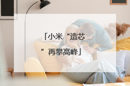 小米“造芯”再攀高峰