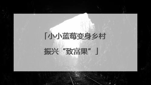 小小蓝莓变身乡村振兴“致富果”