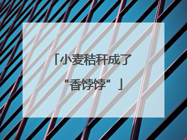 小麦秸秆成了“香饽饽”