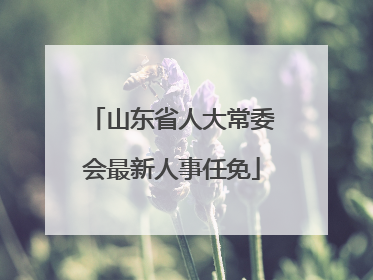 山东省人大常委会最新人事任免