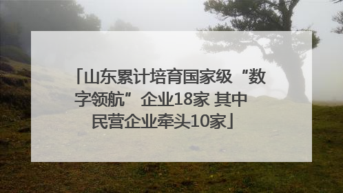 山东累计培育国家级“数字领航”企业18家 其中民营企业牵头10家