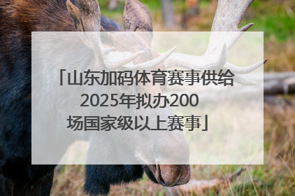 山东加码体育赛事供给 2025年拟办200场国家级以上赛事