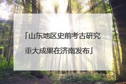 山东地区史前考古研究重大成果在济南发布