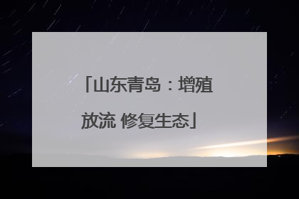 山东青岛：增殖放流 修复生态