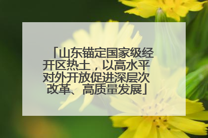 山东锚定国家级经开区热土，以高水平对外开放促进深层次改革、高质量发展