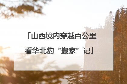 山西境内穿越百公里 看华北豹“搬家”记