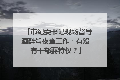 市纪委书记现场督导酒醉驾夜查工作：有没有干部耍特权？