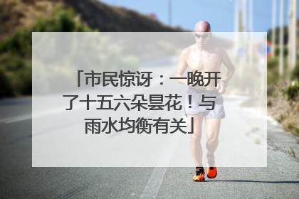 市民惊讶：一晚开了十五六朵昙花！与雨水均衡有关