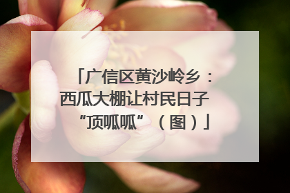 广信区黄沙岭乡：西瓜大棚让村民日子“顶呱呱”（图）