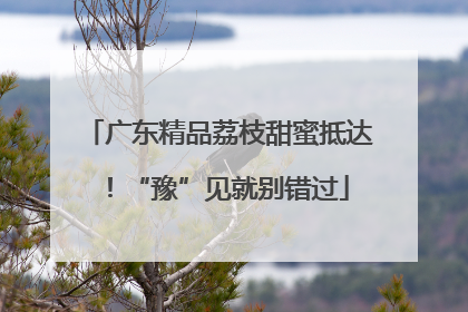 广东精品荔枝甜蜜抵达！“豫”见就别错过