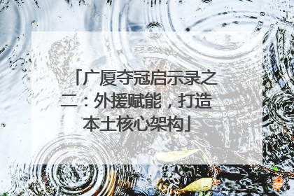 广厦夺冠启示录之二：外援赋能，打造本土核心架构