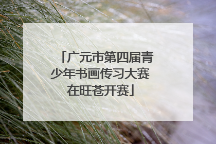 广元市第四届青少年书画传习大赛在旺苍开赛