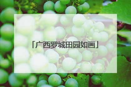 广西罗城田园如画