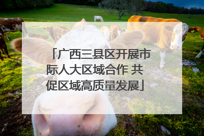 广西三县区开展市际人大区域合作 共促区域高质量发展