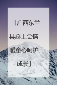 广西东兰县总工会情暖童心呵护成长