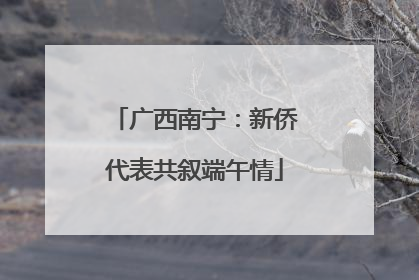 广西南宁：新侨代表共叙端午情