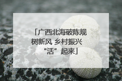 广西北海破陈规树新风 乡村振兴“活”起来