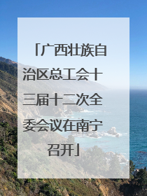 广西壮族自治区总工会十三届十二次全委会议在南宁召开