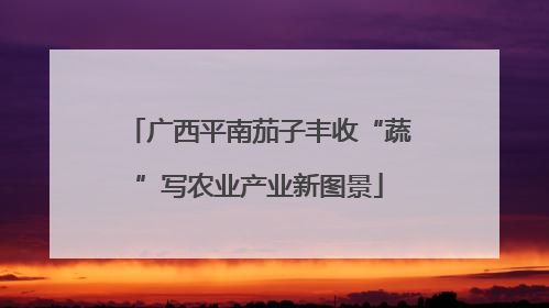 广西平南茄子丰收“蔬”写农业产业新图景
