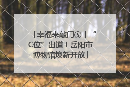 幸福来敲门⑤丨“C位”出道！岳阳市博物馆焕新开放