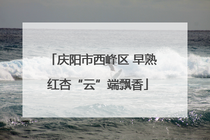 庆阳市西峰区 早熟红杏“云”端飘香