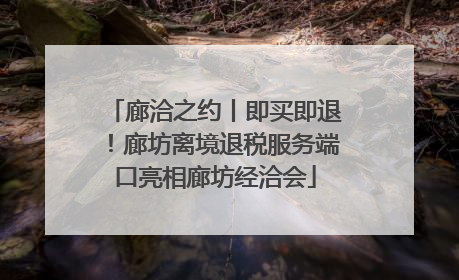 廊洽之约丨即买即退！廊坊离境退税服务端口亮相廊坊经洽会