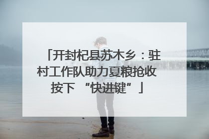开封杞县苏木乡：驻村工作队助力夏粮抢收按下 “快进键”