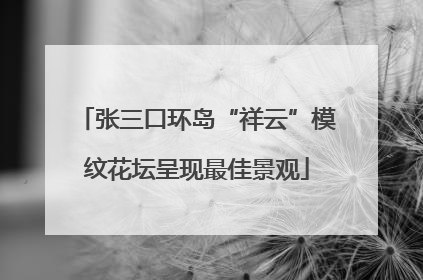 张三口环岛“祥云”模纹花坛呈现最佳景观